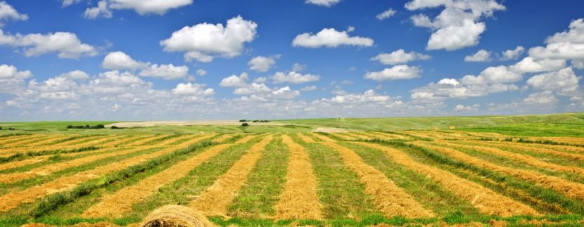 L’ACQUISTO DI TERRENO AGRICOLO