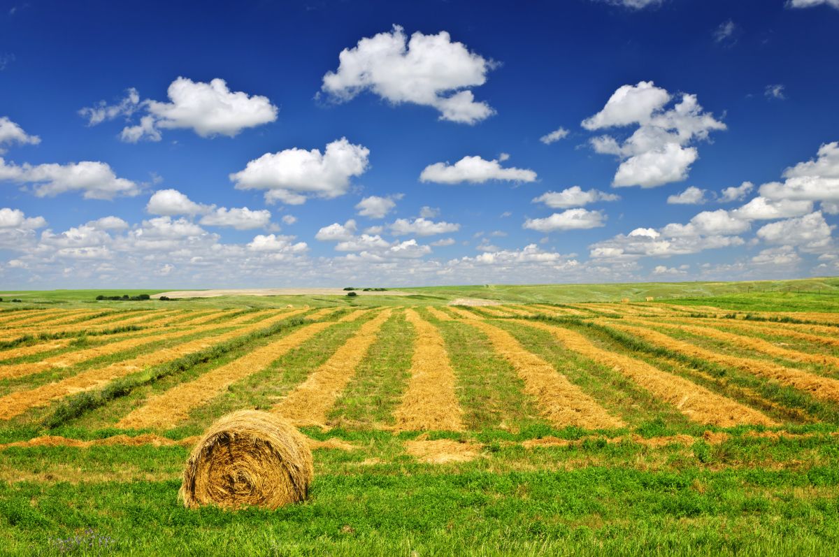 L’ACQUISTO DI TERRENO AGRICOLO