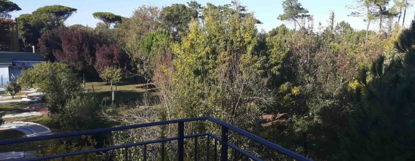 Appartamento in pineta a Pinarella