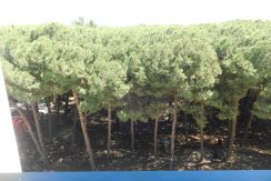 Hotel e Residence in vendita o affitto